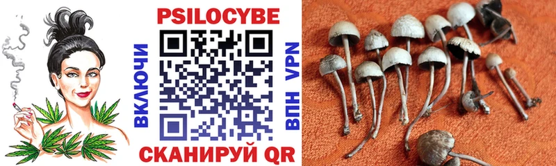 MEGA ONION  Кольчугино  Галлюциногенные грибы Psilocybine cubensis  продажа наркотиков 